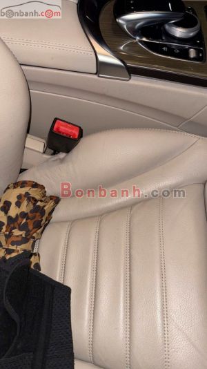 Xe Mercedes Benz C250 Exclusive 2015