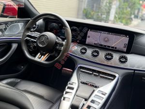 Xe Mercedes Benz AMG GT 53 4Matic 2022