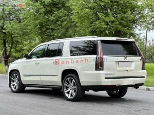 Xe Cadillac Escalade 6.2 V8 2014