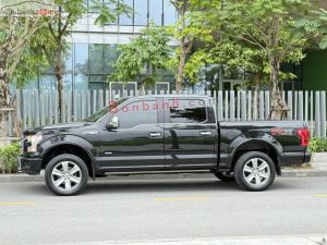 Xe Ford F150 Platinum 2015